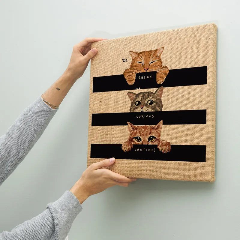 3 Faces of Cat Designed Wicker Painting