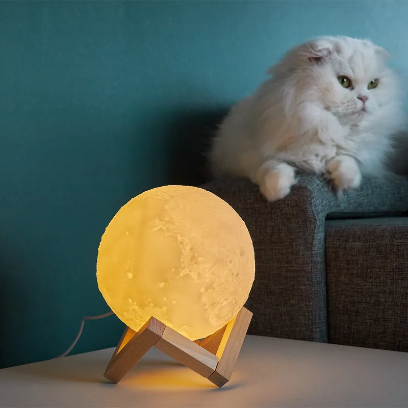 3D Moon Night Lamp with Wooden Stand