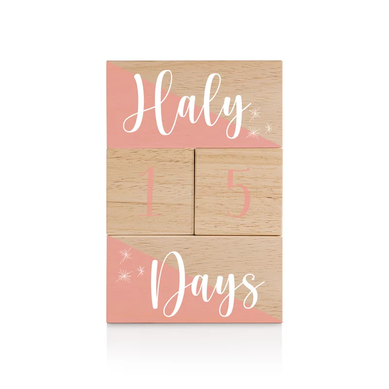 Baby Girl Wooden Personalized Milestone Blocks