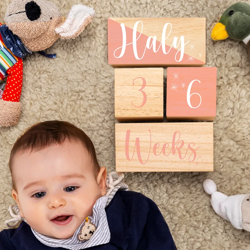 Baby Girl Wooden Personalized Milestone Blocks