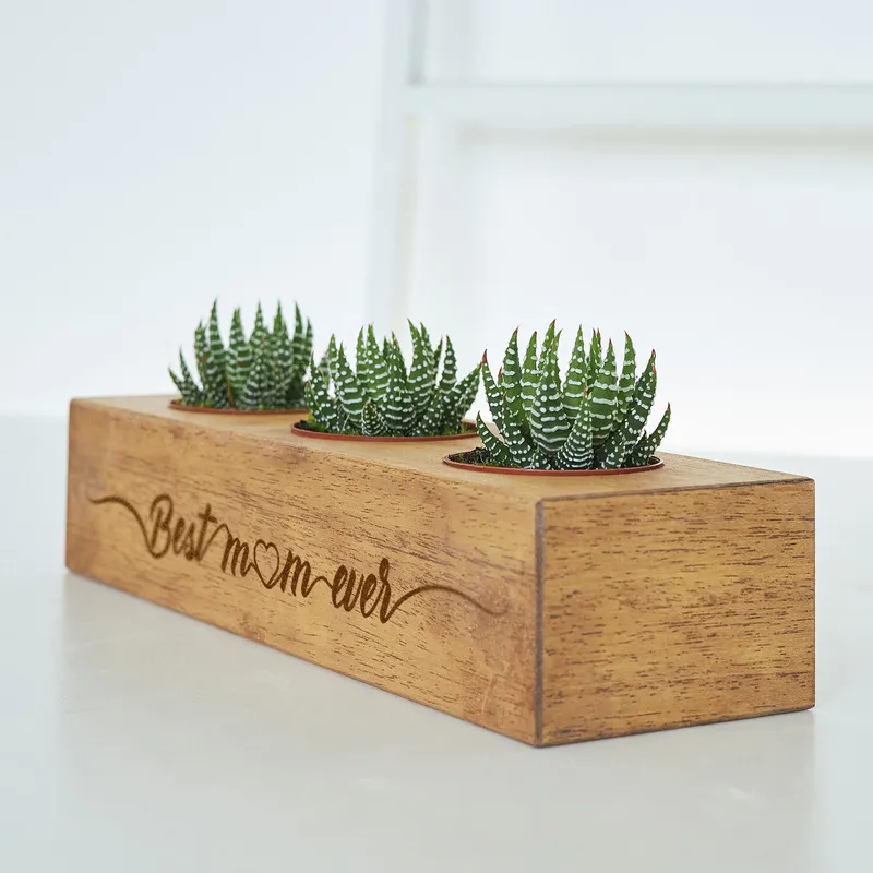 Mother's Day Succulent Trio with Custom Wooden Stand