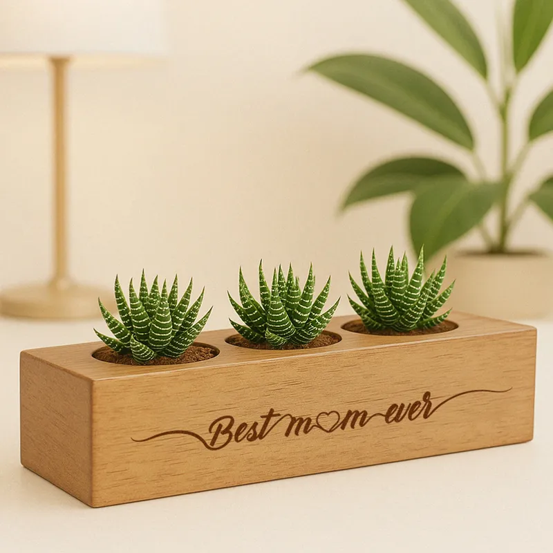 Mother's Day Succulent Trio with Custom Wooden Stand