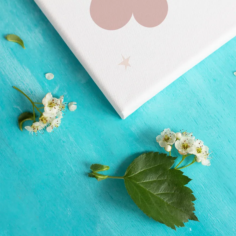 Boho Style 2-Piece Canvas for Baby Room