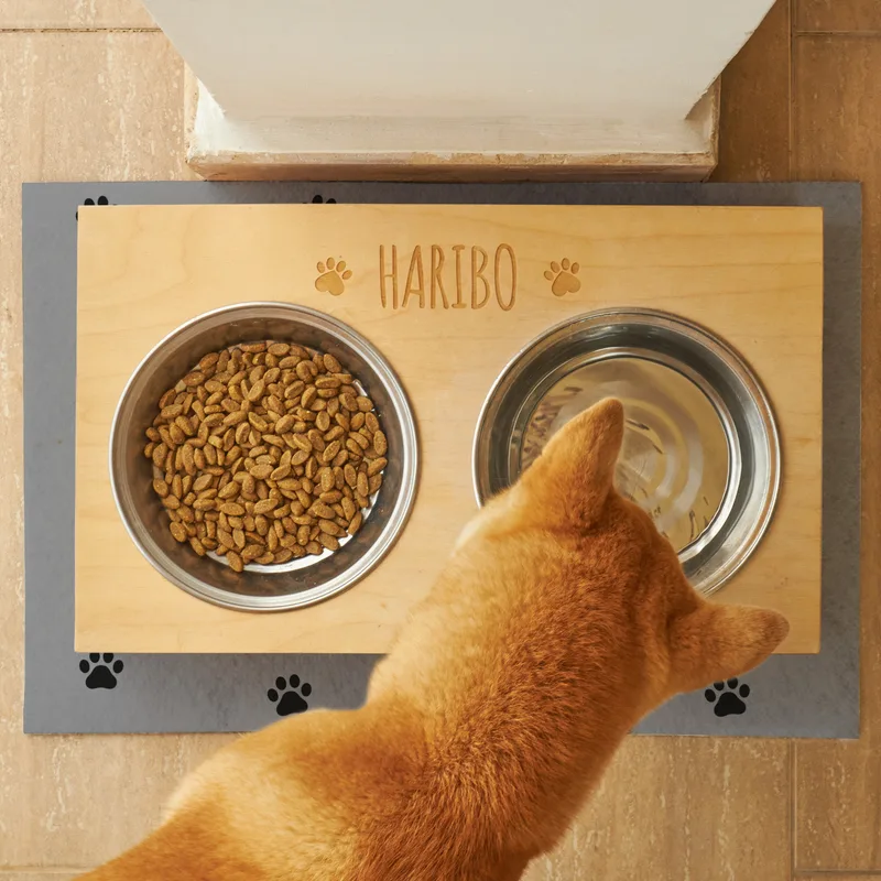 Personalised Pet Placemat with Bone and Paw Design