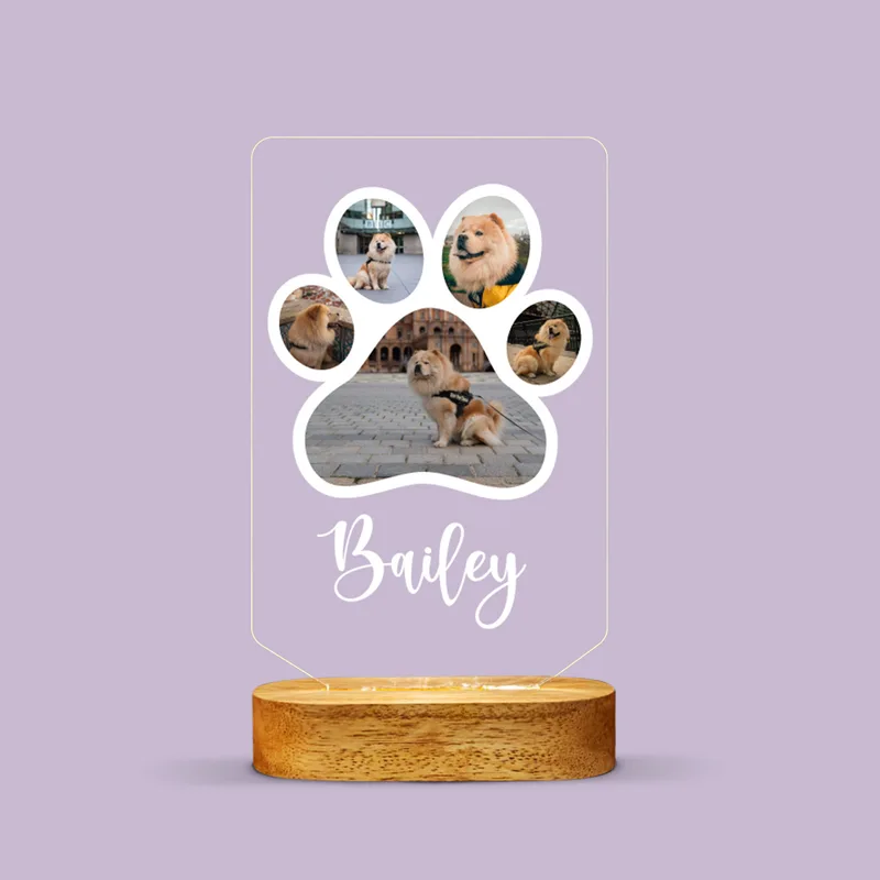 Cat Dog Paw Design LED Lamp