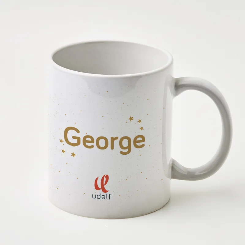 Custom Business Logo Christmas Gift Box for Professionals