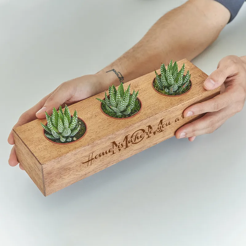 Custom Mother's Day Wooden Succulent Holder