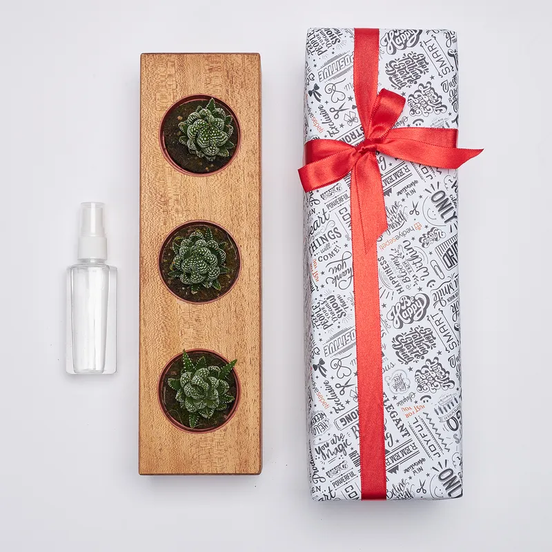 Custom Mother's Day Wooden Succulent Holder