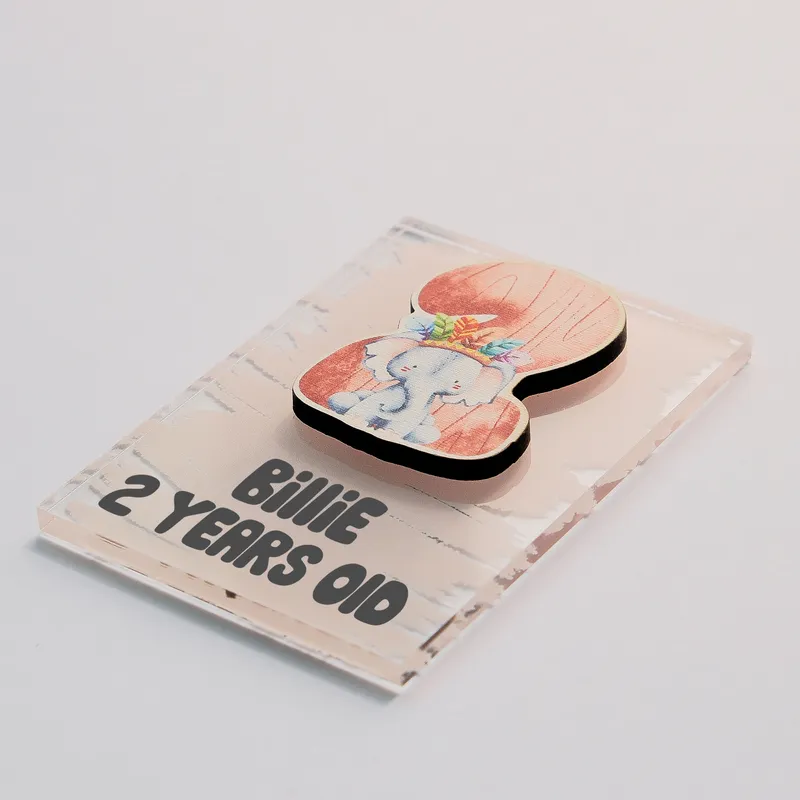 Custom Name Cute Animal Birthday Magnet Set - Set of 10