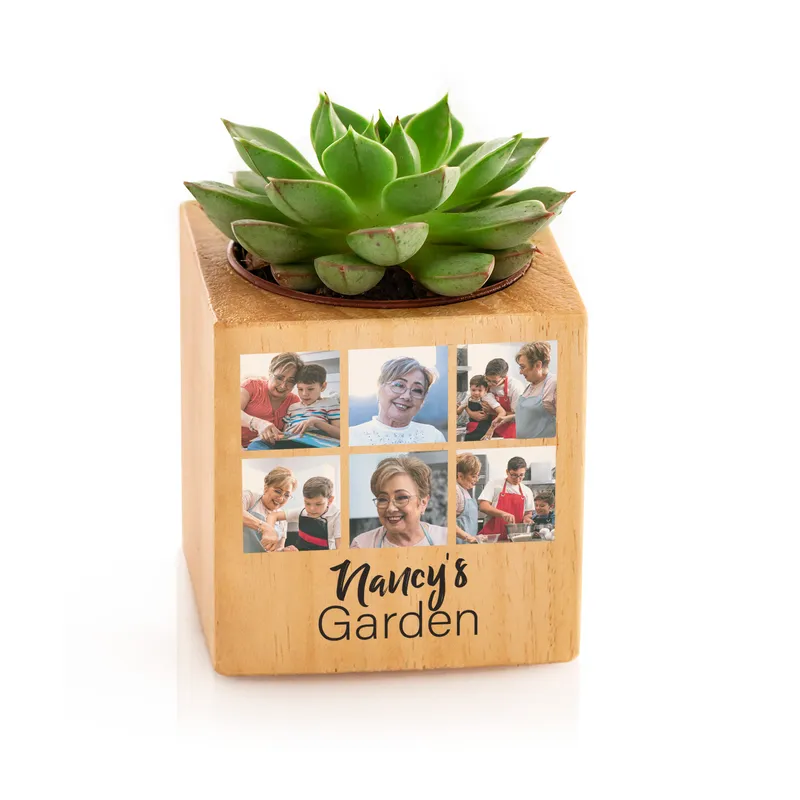 Personalised Photo Succulent Planter for Mum and Grandma