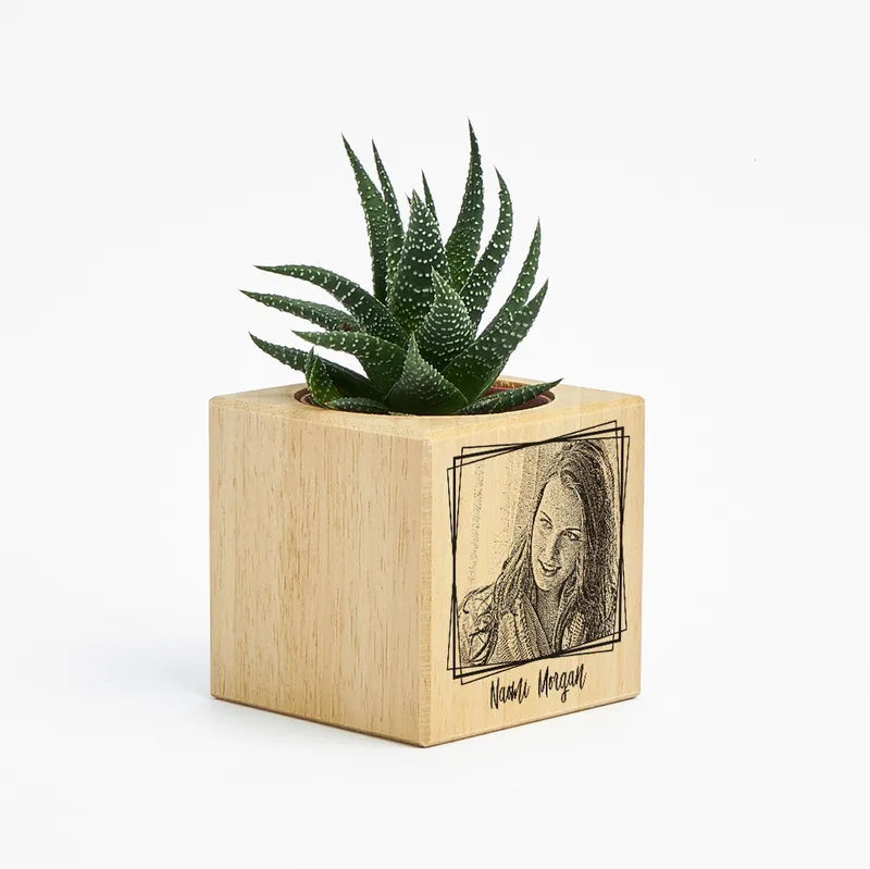 Cute Gifts for Her Succulent Pot Photo Print