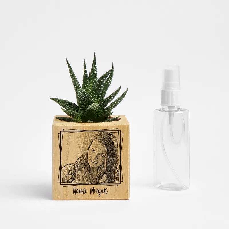 Cute Gifts for Her Succulent Pot Photo Print