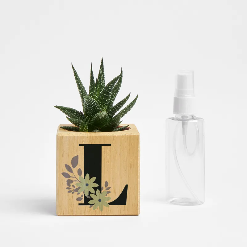 Personalised Initial Succulent Planter Cube - Eco-Friendly Gift