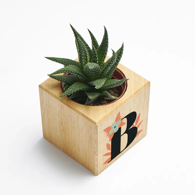 Personalised Initial Succulent Planter Cube - Eco-Friendly Gift