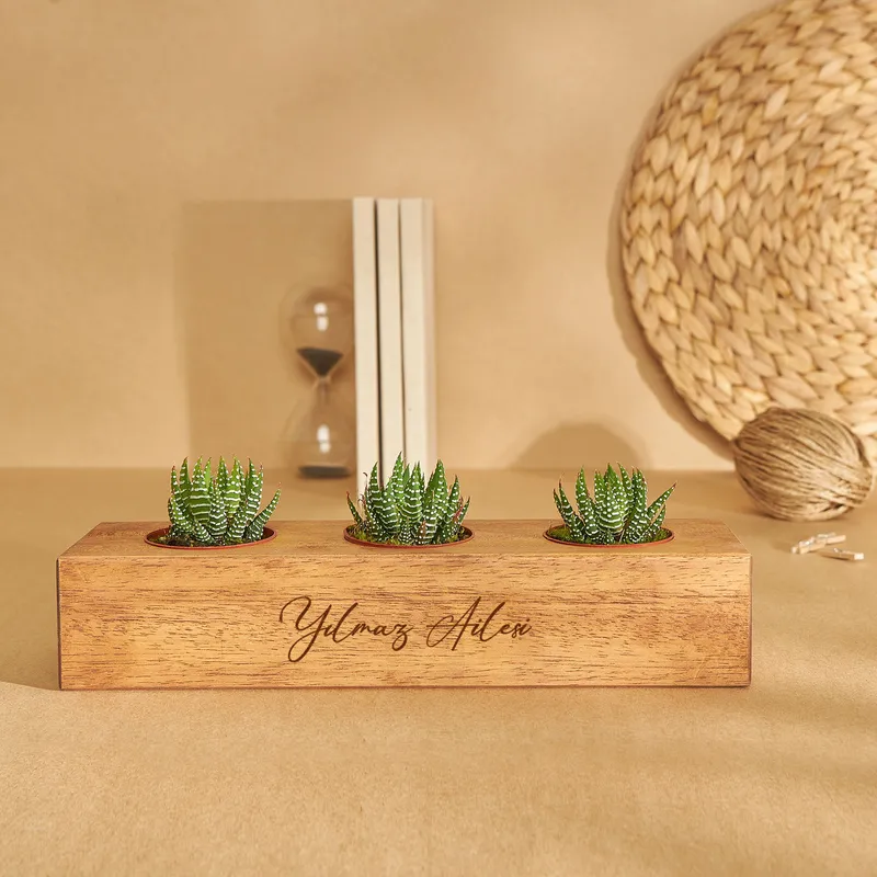Decorative Succulent Pot with 3 Slots