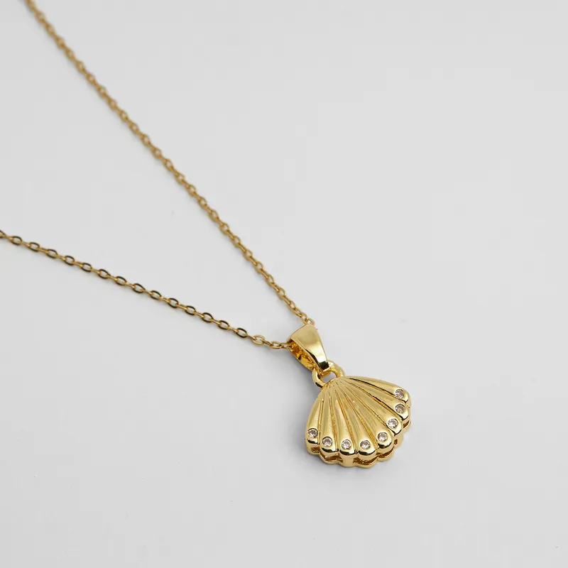Elegant Oyster Shell Necklace