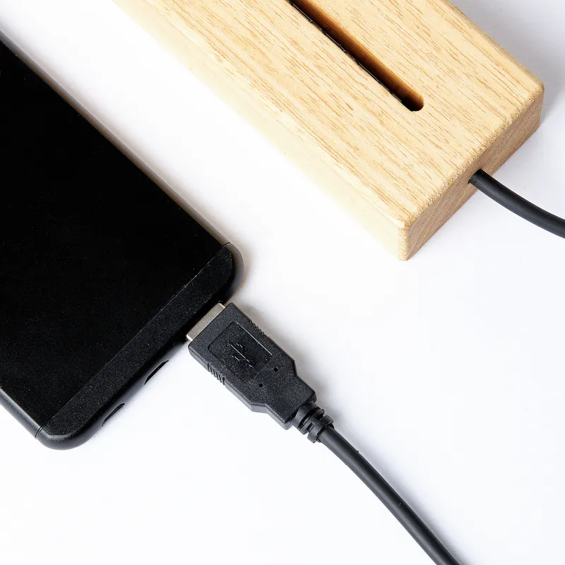 Family Silhouette LED Light with Personalized Names