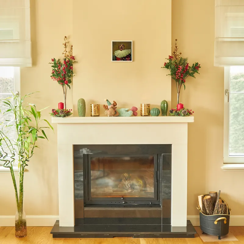 Framed Personal Pet Portrait Design