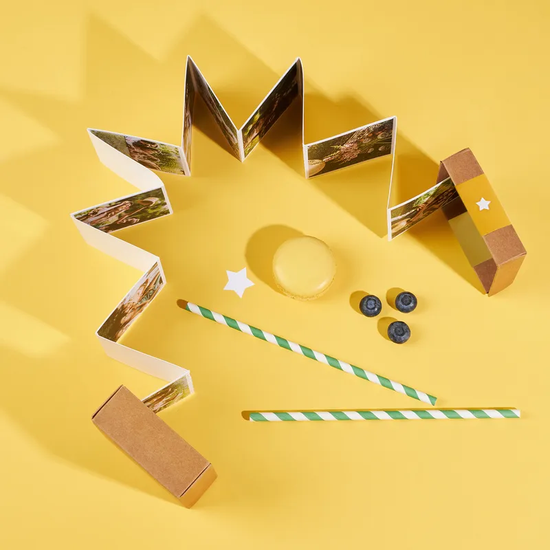 Gift for Best Friend Accordion Photo Album Box