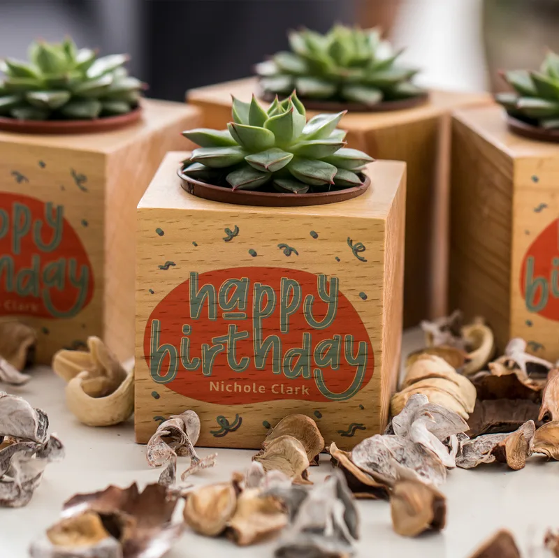 Personalised Birthday Succulent Plant Cube Eco-Friendly Gift