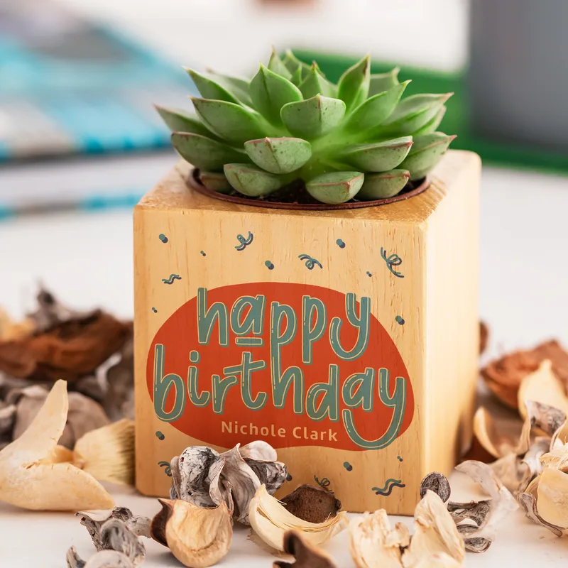 Personalised Birthday Succulent Plant Cube Eco-Friendly Gift