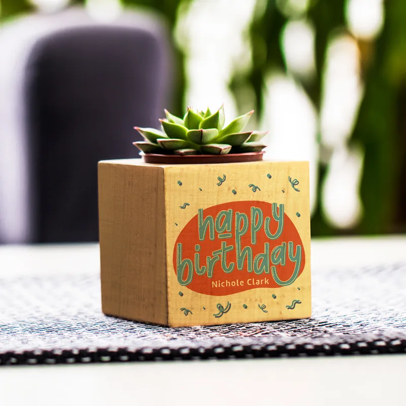Personalised Birthday Succulent Plant Cube Eco-Friendly Gift