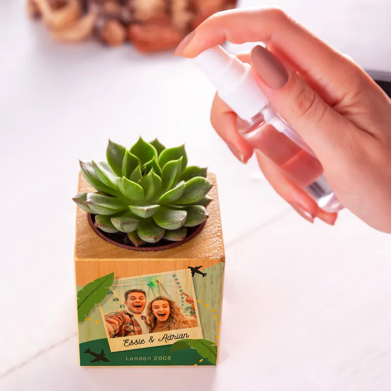 Personalised Photo Succulent Planter Keepsake for Home Decor