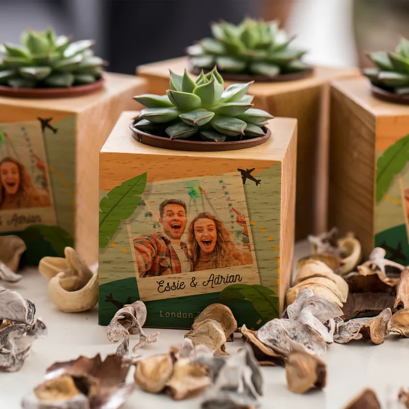 Personalised Photo Succulent Planter Keepsake for Home Decor