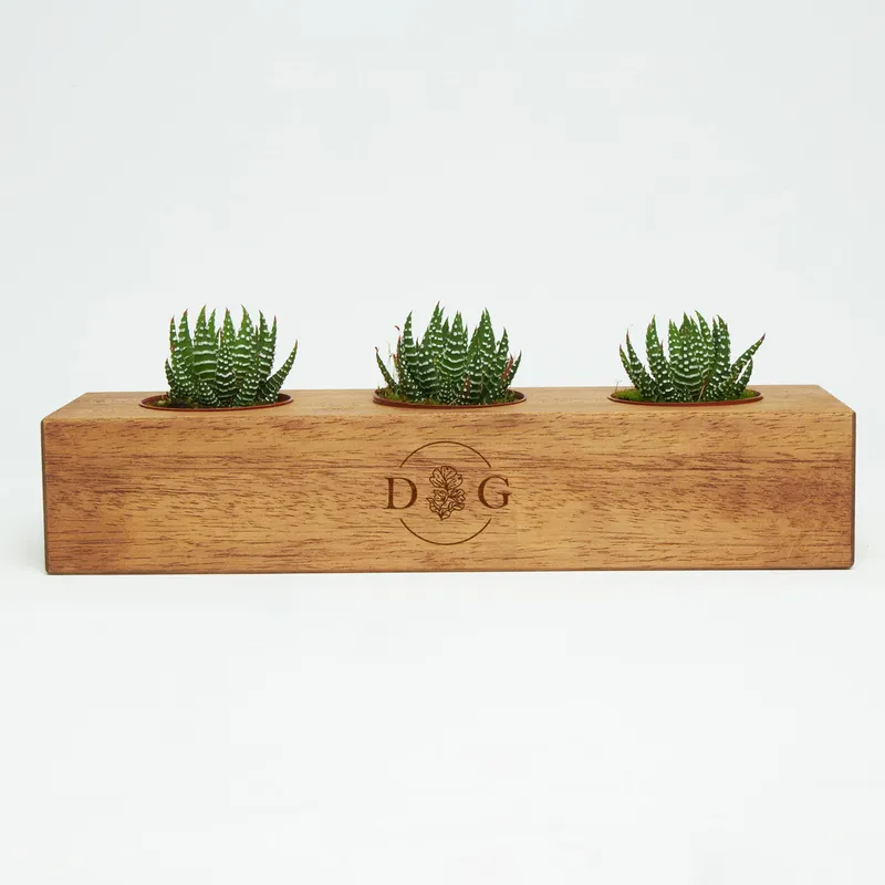 Initial Personalized Wooden Succulent Pot with 3 Slots