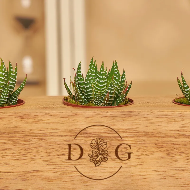 Initial Personalized Wooden Succulent Pot with 3 Slots