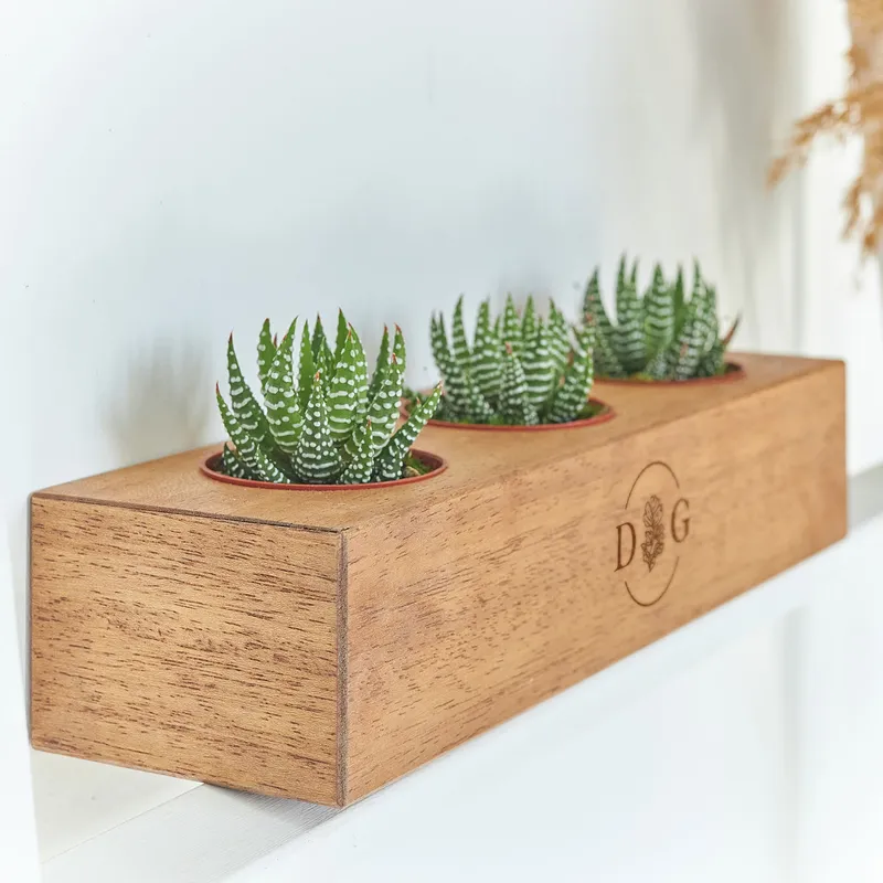 Initial Personalized Wooden Succulent Pot with 3 Slots
