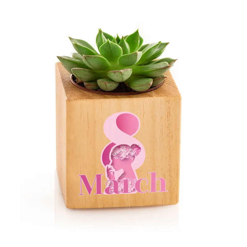 International Women's Day Designed Wooden Pot with Succulent