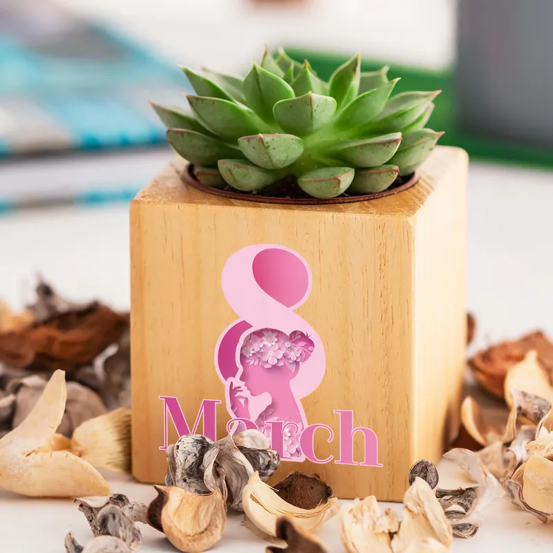International Women's Day Designed Wooden Pot with Succulent