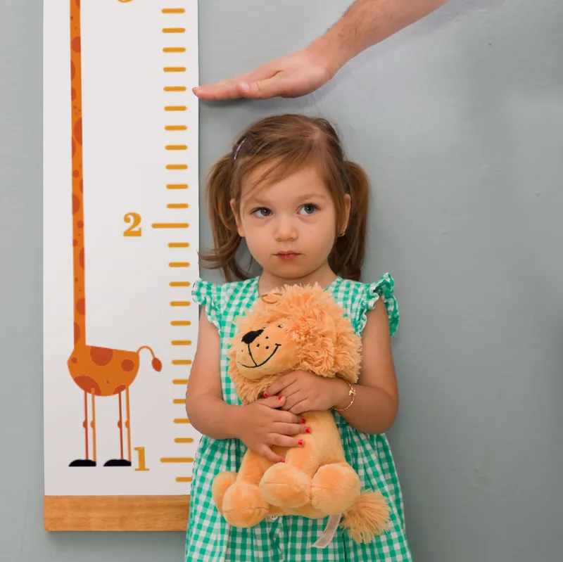 Giraffe Growth Chart Wall Decal for Kids