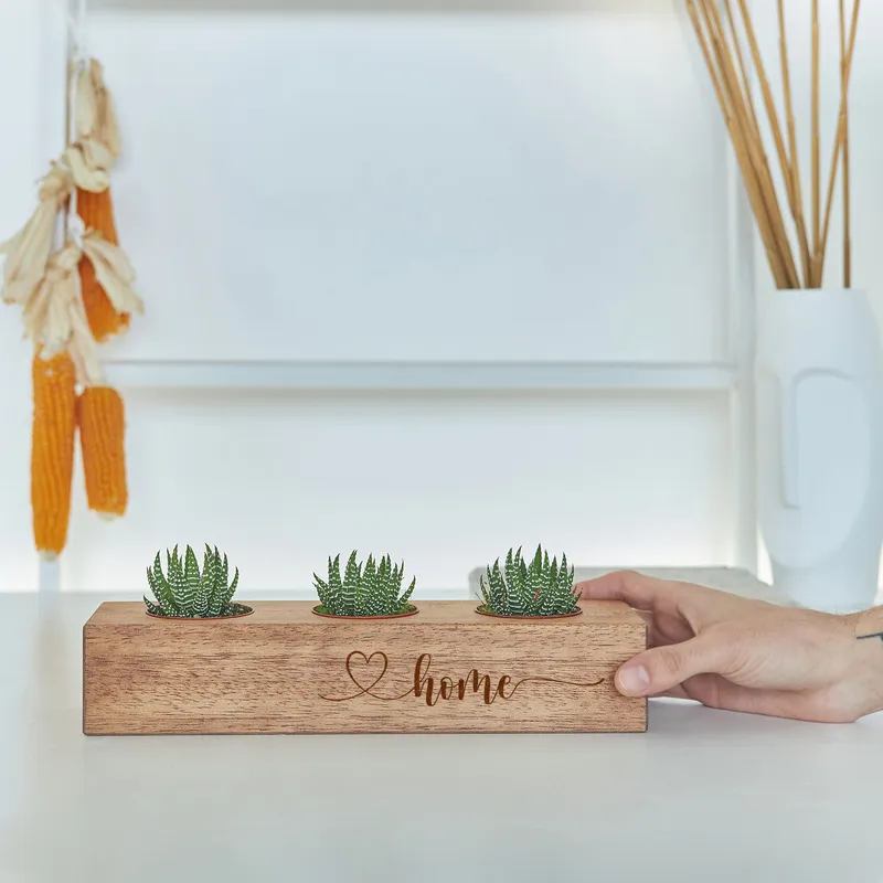 Minimal Designed Wooden Pot with 3 Slots