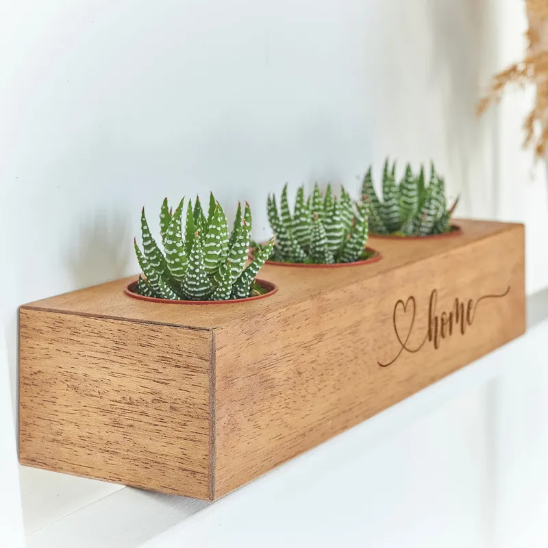 Minimal Designed Wooden Pot with 3 Slots