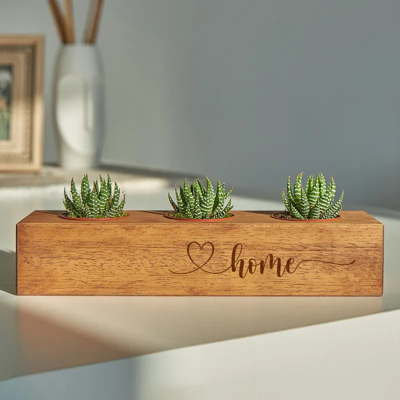 Minimal Designed Wooden Pot with 3 Slots