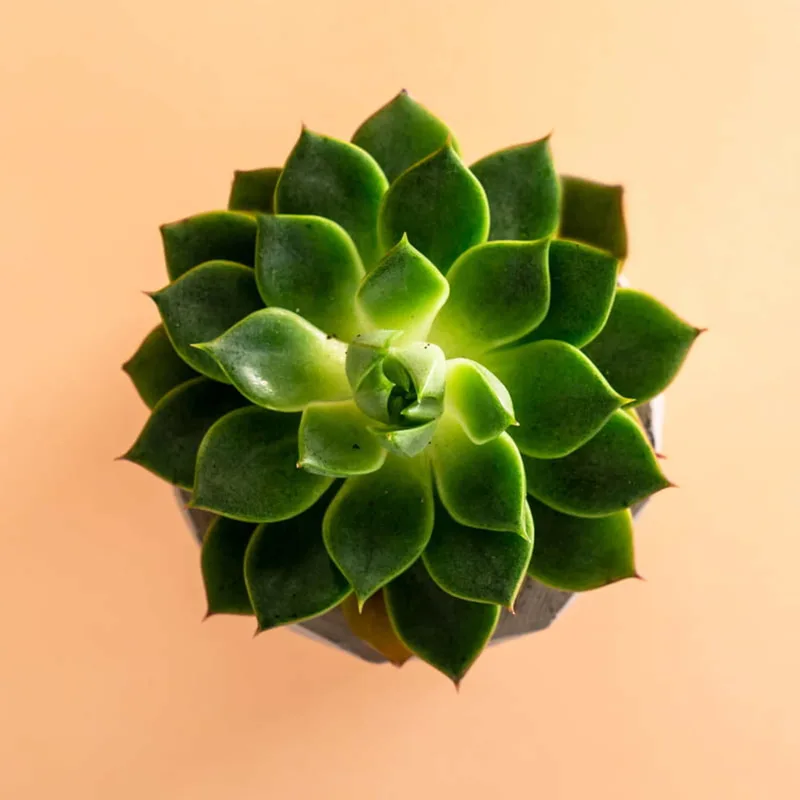 Personalised Mother's Day Gift Box with Custom Touch