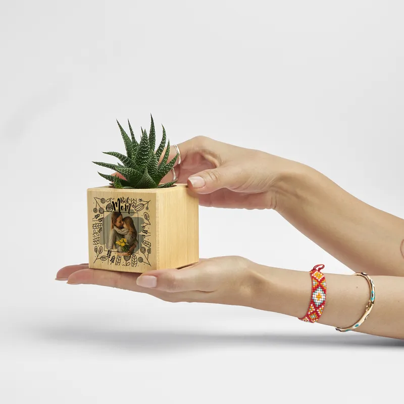Personalised Mother's Day Photo Succulent Planter