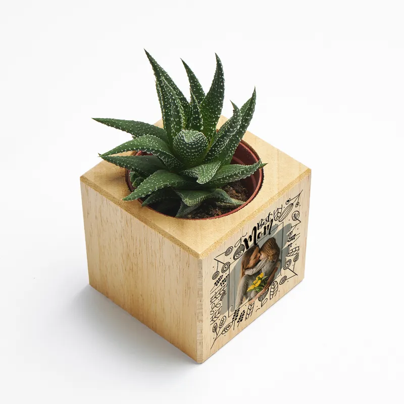 Personalised Mother's Day Photo Succulent Planter