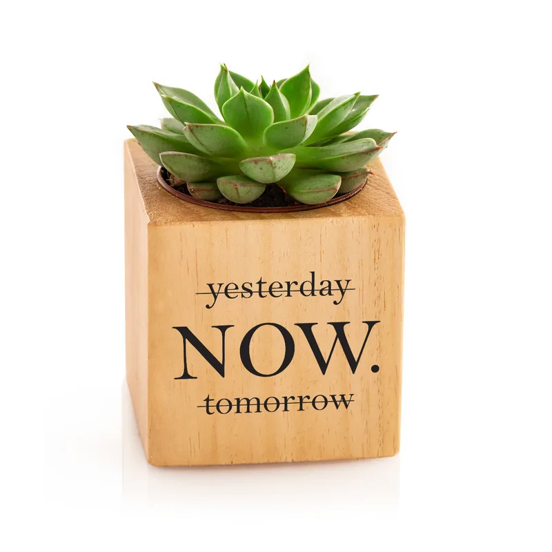 Inspirational Quote Succulent Planter - Unique Gift Idea