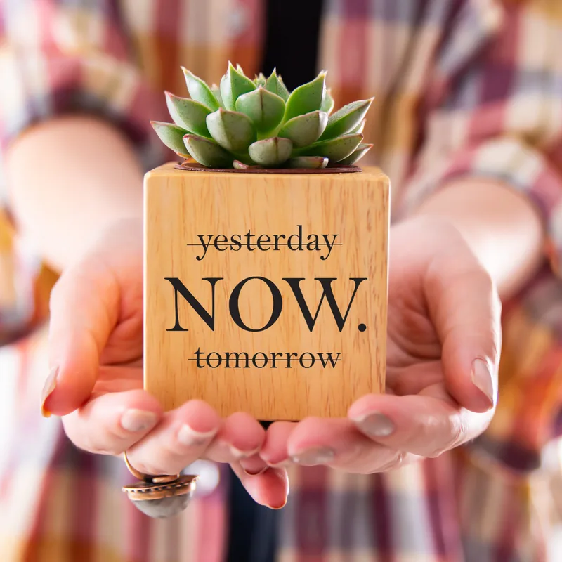 Inspirational Quote Succulent Planter - Unique Gift Idea
