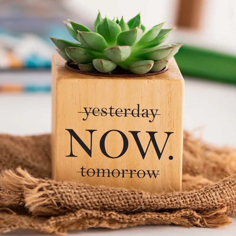 Inspirational Quote Succulent Planter - Unique Gift Idea