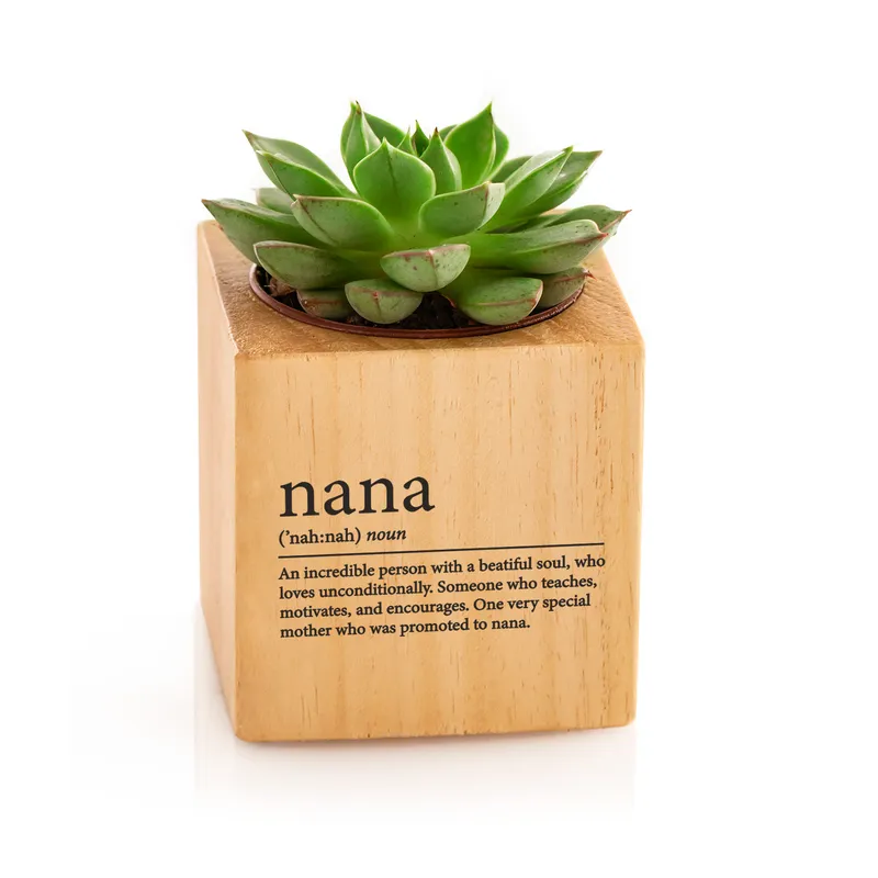 Nana Definition Succulent Planter Gift