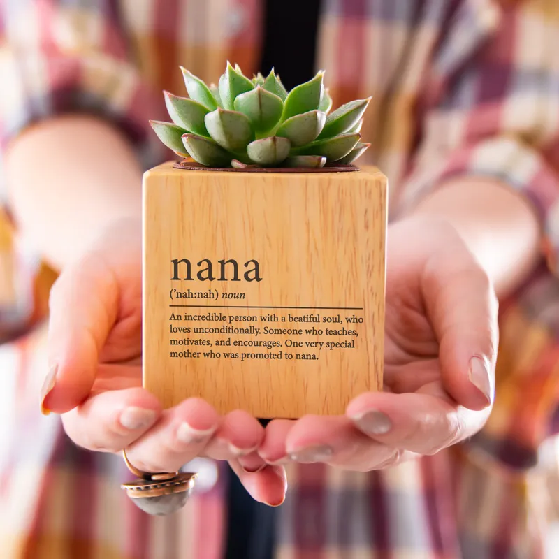 Nana Definition Succulent Planter Gift