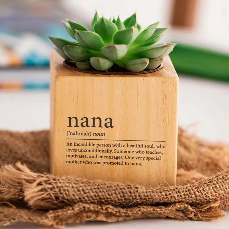Nana Definition Succulent Planter Gift