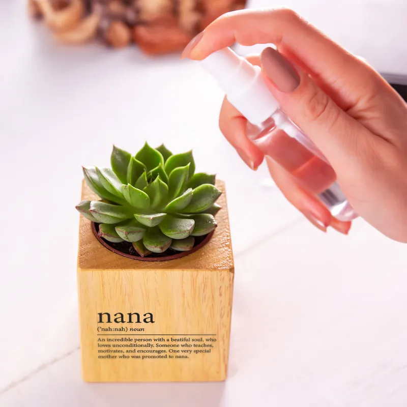 Nana Definition Succulent Planter Gift