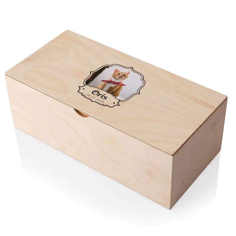Pawprints on My Heart Memory Box