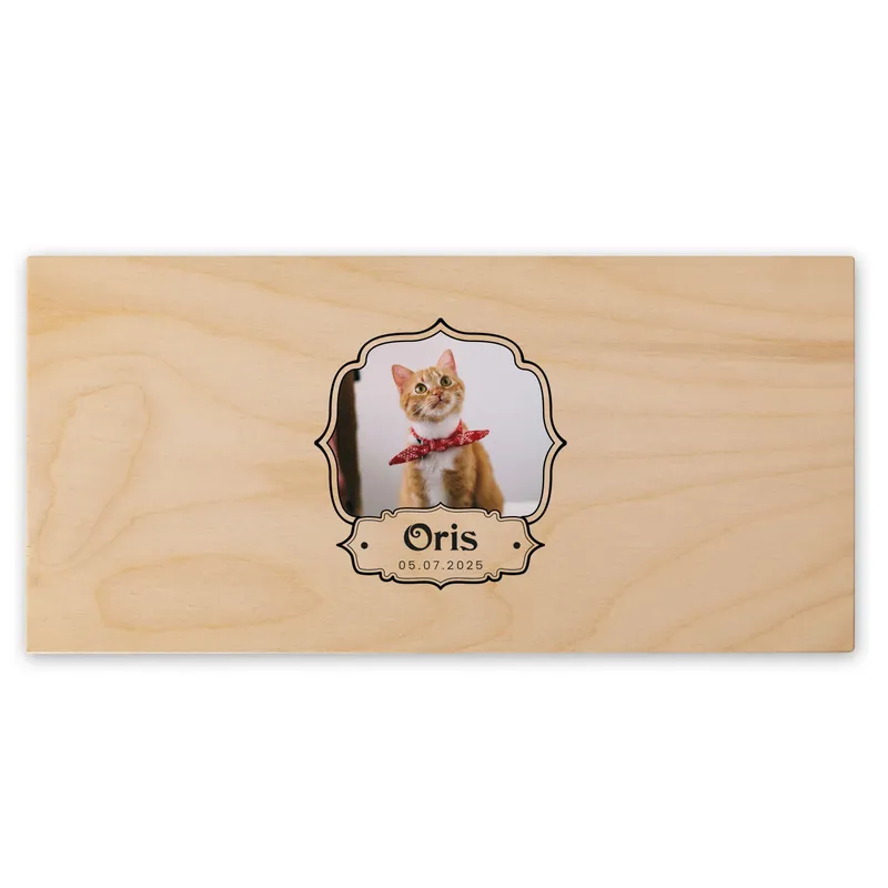 Pawprints on My Heart Memory Box