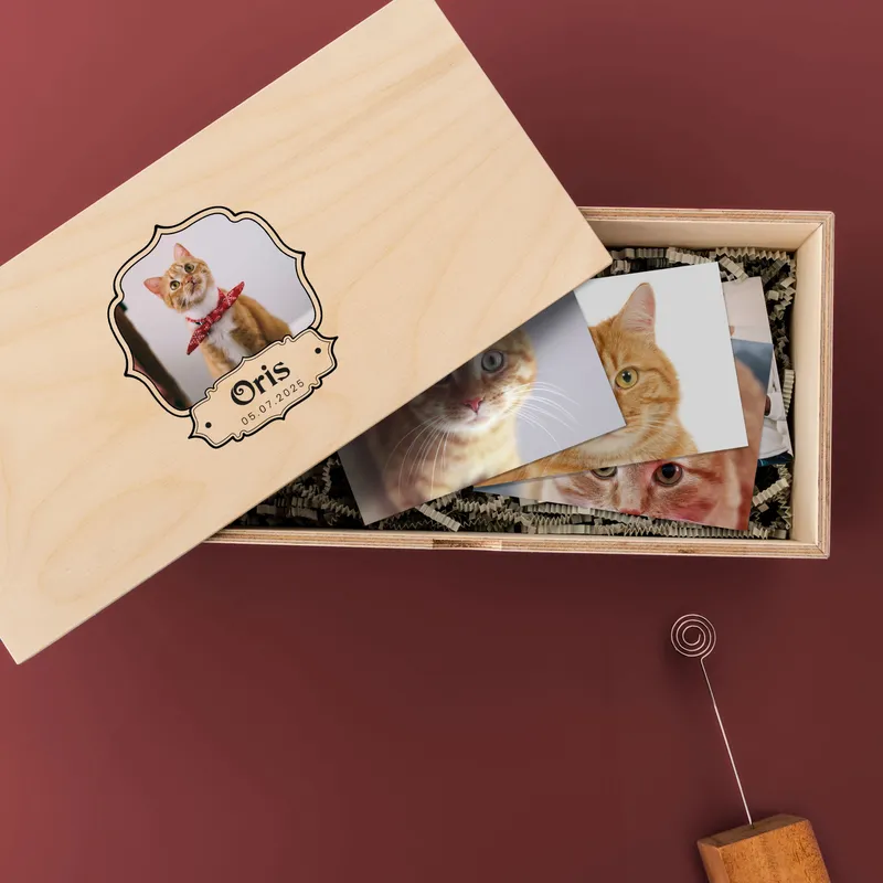 Pawprints on My Heart Memory Box